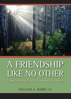 A Friendship Like No Other: Experiencing God's Amazing Embrace (Paperback)