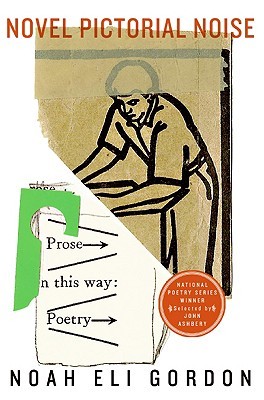 Novel Pictorial Noise (Paperback)