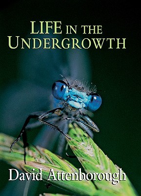 Life in the Undergrowth (Hardcover)