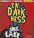 In Darkness