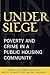 Under Siege: Poverty and Crime in a Public Housing Community
