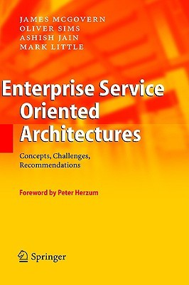 Enterprise Service Oriented Architectures: Concepts, Challenges, Recommendations