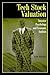 Tech Stock Valuation: Investor Psychology and Economic Analysis