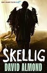 Skellig by almond-david