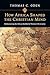 How Africa Shaped the Christian Mind: Rediscovering the African Seedbed of Western Christianity (Early African Christianity)