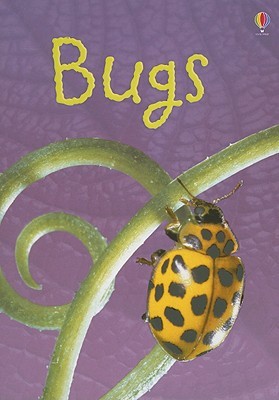 Bugs (Usborne Beginners)