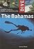 Dive the Bahamas: Complete Guide to Diving and Snorkeling (Interlink Dive Guides)