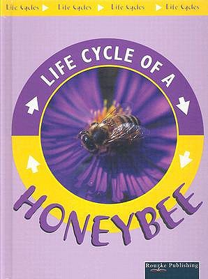 Life Cycle of a Honeybee (Library Binding)