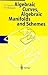 Algebraic Geometry I: Algebraic Curves, Algebraic Manifolds and Schemes (Encyclopaedia of Mathematical Sciences, 23)