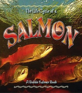 The Life Cycle of a Salmon (Paperback)