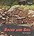 Rocks and Soil (Rock It!)