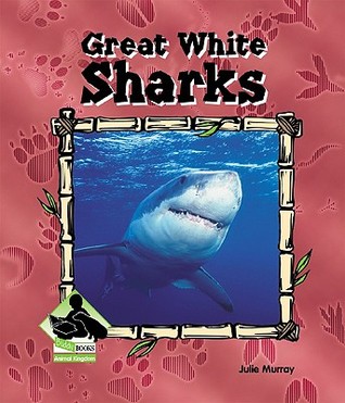 Great White Sharks (Animal Kingdom)