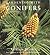 Gardening With Conifers by Adrian Bloom