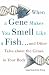When a Gene Makes You Smell Like a Fish by Lisa Seachrist Chiu When a Gene Makes You Smell Like a Fish by Lisa Seachrist Chiu
