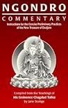 Ngondro Commentary: Instructions for the Concise Preliminary Practices of the New Treasure of Dudjom
