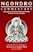 Ngondro Commentary: Instructions for the Concise Preliminary Practices of the New Treasure of Dudjom