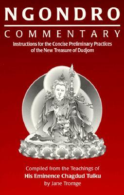 Ngondro Commentary: Instructions for the Concise Preliminary Practices of the New Treasure of Dudjom (Paperback)