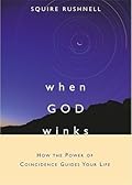 When God Winks: How the Power of Coincidence Guides Your Life (1) (The Godwink Series)