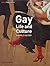 Gay Life and Culture: A World History