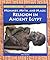 Mummies, Myth, and Magic: Religion in Ancient Egypt (Lucent Library of Historical Eras)