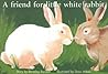 A friend for little white rabbit (New PM story books) A friend for little white rabbit (New PM story books)