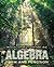 Algebra: Form and Function