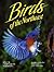 Birds of the Northeast