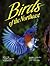 Birds of the Northeast by Winston Williams