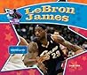 LeBron James: Basketball Superstar (Big Buddy Biographies)