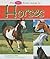 The Pebble First Guide to Horses (Pebble First Guides)