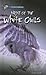 Night of the White Owls (Hi/Lo Passages - Mystery Novel)
