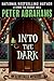 Into the Dark (Echo Falls, #3)