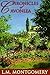 Chronicles of Avonlea by L.M. Montgomery