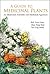 GUIDE TO MEDICINAL PLANTS, A: AN ILLUSTRATED SCIENTIFIC AND MEDICINAL APPROACH