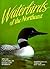 Waterbirds of the Northeast