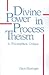 Divine Power in Process Theism: A Philosophical Critique (Philosophy (Dis))