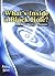 What's Inside a Black Hole? by Andrew Solway