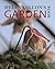 Helen Dillon's Garden Book by Helen Dillon Helen Dillon's Garden Book by Helen Dillon