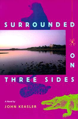 Surrounded on Three Sides (Florida Sand Dollar Books)