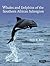 Whales and Dolphins of the Southern African Subregion