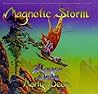 Magnetic Storm