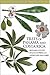 Trees of Panama and Costa Rica (Princeton Field Guides)