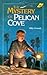 The Mystery of Pelican Cove