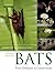 Bats: From Evolution to Conservation