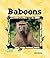 Baboons (Animal Kingdom)