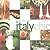 Italy Chic (Chic Destination)