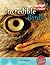 Incredible Birds (Incredible Creatures/freestyle Express)