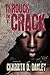 Through the Crack: A Novel