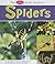 The Pebble First Guide to Spiders (Pebble First Guides)