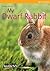 My Dwarf Rabbit (My Pet Ser...
